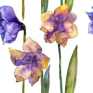 Sulu boya renkli amaryllis çiçekler. Sorunsuz arka plan deseni. Kumaş duvar kağıdı yazdırma doku. İzole illüstrasyon öğesi. Arka plan, doku, sarıcı desen Aquarelle kır çiçeği.