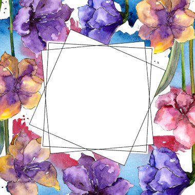 Sulu boya renkli amaryllis çiçekler. Botanik çiçek. Çerçeve kenarlığı süsleme Meydanı. Arka plan, doku, sarıcı desen, çerçeve veya kenarlık için Aquarelle kır çiçeği.