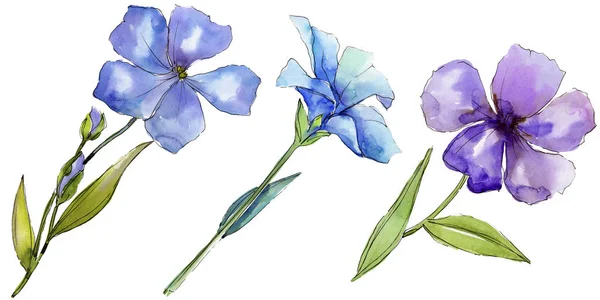 Acquerello Fiori Lino Blu Viola Fiore Botanico Floreale Elemento Illustrazione — Foto Stock