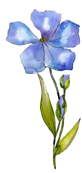 Fiore Lino Giallo Acquerello Fiore Botanico Floreale Elemento Illustrazione Isolato — Foto Stock