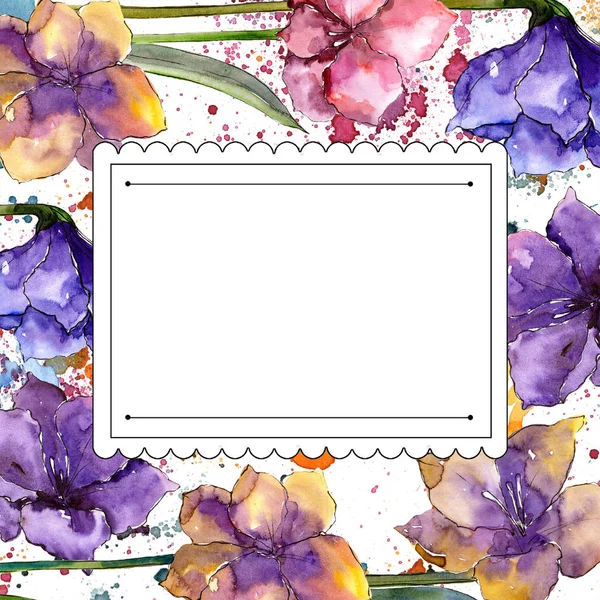 Watercolor Colorful Amaryllis Flowers Floral Botanical Flower Frame Border Ornament — Stock Photo, Image