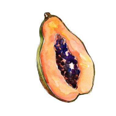 Egzotik tropik sağlıklı gıda izole bir suluboya tarzında. Meyve tam adı: papaya. Aquarelle wilfruit arka plan, doku, sarıcı desen veya menü.