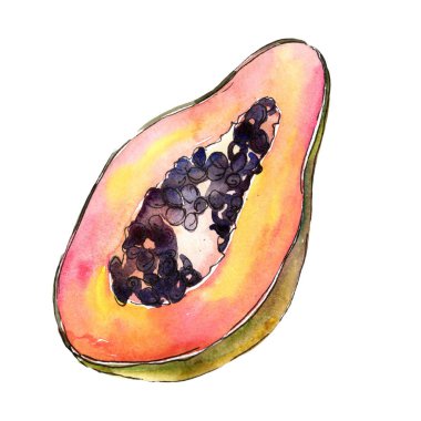 Egzotik tropik sağlıklı gıda izole bir suluboya tarzında. Meyve tam adı: papaya. Aquarelle wilfruit arka plan, doku, sarıcı desen veya menü.