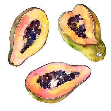 Egzotik tropik sağlıklı gıda izole bir suluboya tarzında. Meyve tam adı: papaya. Aquarelle wilfruit arka plan, doku, sarıcı desen veya menü.
