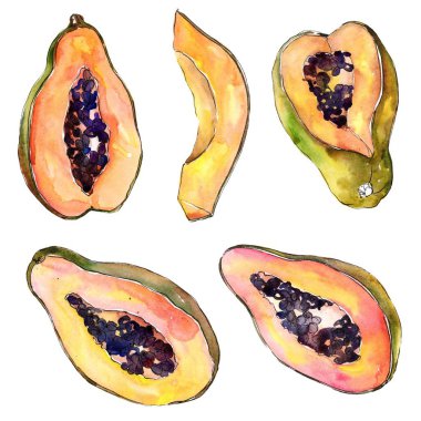 Egzotik tropik sağlıklı gıda izole bir suluboya tarzında. Meyve tam adı: papaya. Aquarelle wilfruit arka plan, doku, sarıcı desen veya menü.