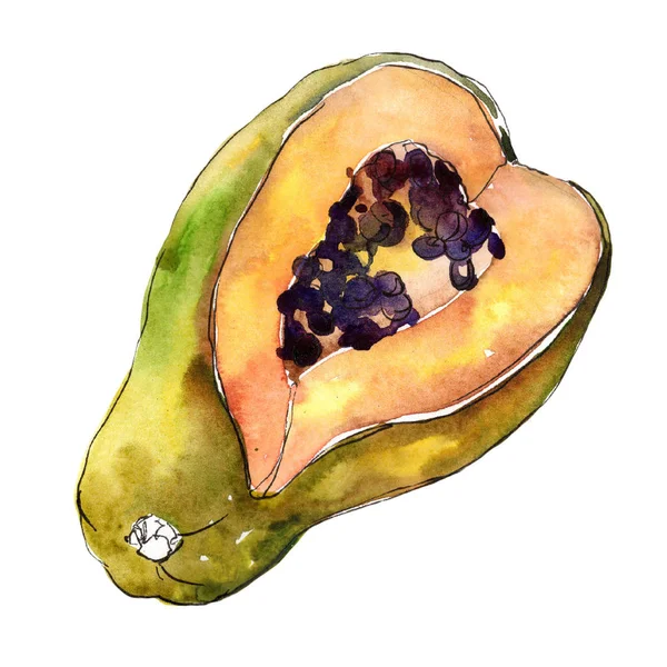 Egzotik tropik sağlıklı gıda izole bir suluboya tarzında. Meyve tam adı: papaya. Aquarelle wilfruit arka plan, doku, sarıcı desen veya menü.