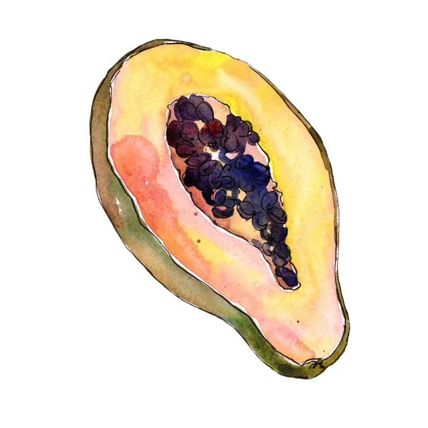 Exotiska Tropiska Hälsosam Mat Akvarell Stil Isolerade Fullständigt Namn Frukt — Stockfoto