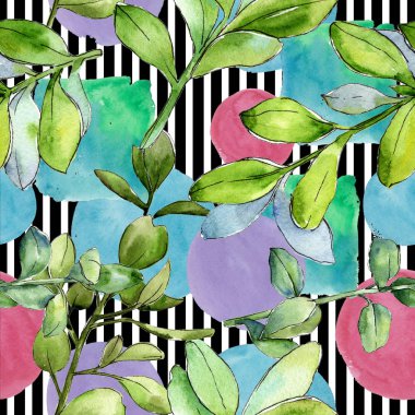 Sulu boya şimşir yeşil yaprak. Yaprak bitki botanik bahçe çiçek yaprakları. Sorunsuz arka plan deseni. Aquarelle yaprak için arka plan, doku, sarıcı desen, çerçeve veya kenarlık.