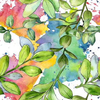 Sulu boya şimşir yeşil yaprak. Yaprak bitki botanik bahçe çiçek yaprakları. Sorunsuz arka plan deseni. Aquarelle yaprak için arka plan, doku, sarıcı desen, çerçeve veya kenarlık.