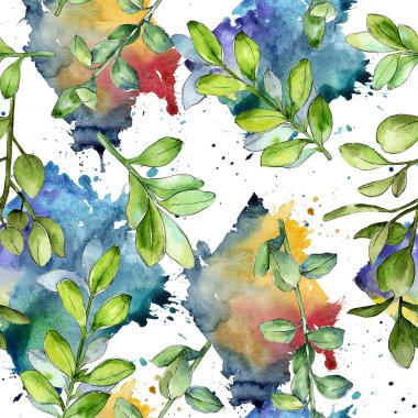 Sulu boya şimşir yeşil yaprak. Yaprak bitki botanik bahçe çiçek yaprakları. Sorunsuz arka plan deseni. Aquarelle yaprak için arka plan, doku, sarıcı desen, çerçeve veya kenarlık.