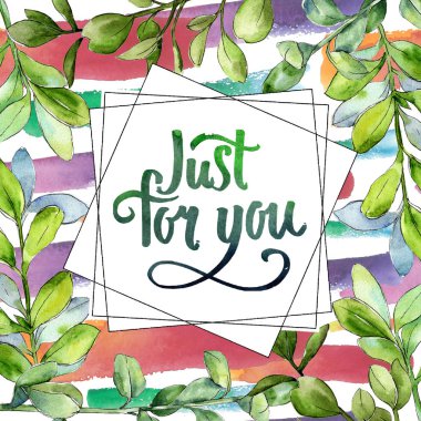 Sulu boya şimşir yeşil yaprak. Yaprak bitki botanik bahçe çiçek yaprakları. Çerçeve kenarlığı süsleme Meydanı. Aquarelle yaprak için arka plan, doku, sarıcı desen, çerçeve veya kenarlık.