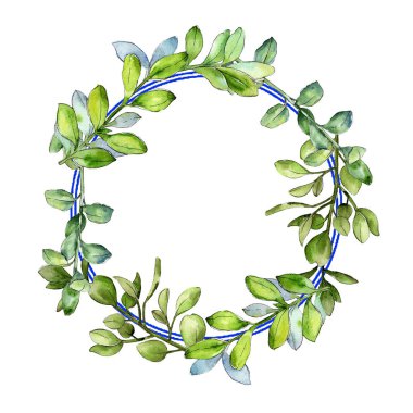 Sulu boya şimşir yeşil yaprak. Yaprak bitki botanik bahçe çiçek yaprakları. Çerçeve kenarlığı süsleme Meydanı. Aquarelle yaprak için arka plan, doku, sarıcı desen, çerçeve veya kenarlık.