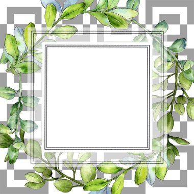 Sulu boya şimşir yeşil yaprak. Yaprak bitki botanik bahçe çiçek yaprakları. Çerçeve kenarlığı süsleme Meydanı. Aquarelle yaprak için arka plan, doku, sarıcı desen, çerçeve veya kenarlık.