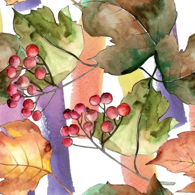 Sulu boya renkli Kartopu çiçeği yaprağı. Yaprak bitki botanik bahçe çiçek yaprakları. Sorunsuz arka plan deseni. Aquarelle yaprak için arka plan, doku, sarıcı desen, çerçeve veya kenarlık.