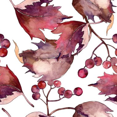 Sulu boya renkli Kartopu çiçeği yaprağı. Yaprak bitki botanik bahçe çiçek yaprakları. Sorunsuz arka plan deseni. Aquarelle yaprak için arka plan, doku, sarıcı desen, çerçeve veya kenarlık.