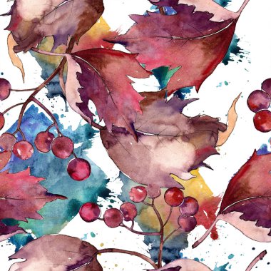 Sulu boya renkli Kartopu çiçeği yaprağı. Yaprak bitki botanik bahçe çiçek yaprakları. Sorunsuz arka plan deseni. Aquarelle yaprak için arka plan, doku, sarıcı desen, çerçeve veya kenarlık.