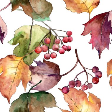 Sulu boya renkli Kartopu çiçeği yaprağı. Yaprak bitki botanik bahçe çiçek yaprakları. Sorunsuz arka plan deseni. Aquarelle yaprak için arka plan, doku, sarıcı desen, çerçeve veya kenarlık.