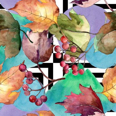 Sulu boya renkli Kartopu çiçeği yaprağı. Yaprak bitki botanik bahçe çiçek yaprakları. Sorunsuz arka plan deseni. Aquarelle yaprak için arka plan, doku, sarıcı desen, çerçeve veya kenarlık.