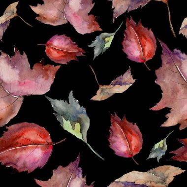 Sulu boya renkli Kartopu çiçeği yaprağı. Yaprak bitki botanik bahçe çiçek yaprakları. Sorunsuz arka plan deseni. Kumaş duvar kağıdı yazdırma doku. Aquarelle yaprak için arka plan, doku, sarıcı desen.