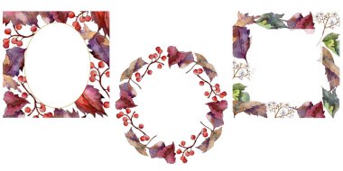 Suluboya sarı Kartopu çiçeği yaprağı. Yaprak bitki botanik bahçe çiçek yaprakları. Çerçeve kenarlığı süsleme Meydanı. Aquarelle yaprak için arka plan, doku, sarıcı desen, çerçeve veya kenarlık.