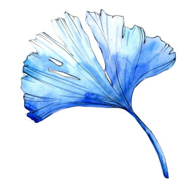 Sulu boya renkli ginkgo yaprağı. Yaprak bitki botanik bahçe çiçek yaprakları. İzole illüstrasyon öğesi. Aquarelle yaprak için arka plan, doku, sarıcı desen, çerçeve veya kenarlık.