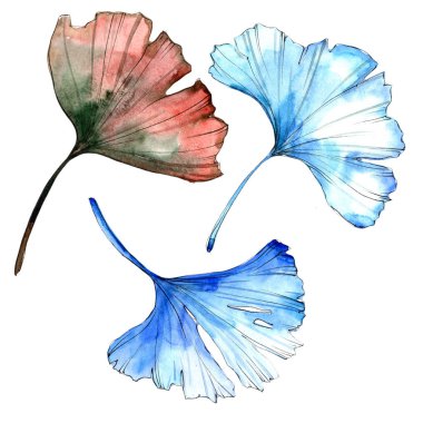 Sulu boya renkli ginkgo yaprağı. Yaprak bitki botanik bahçe çiçek yaprakları. İzole illüstrasyon öğesi. Aquarelle yaprak için arka plan, doku, sarıcı desen, çerçeve veya kenarlık.