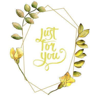 Suluboya sarı akasya yaprağı. Yaprak bitki botanik bahçe çiçek yaprakları. Çerçeve kenarlığı süsleme Meydanı. Aquarelle yaprak için arka plan, doku, sarıcı desen, çerçeve veya kenarlık.