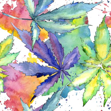 Suluboya esrar yeşil yaprak. Yaprak bitki botanik bahçe çiçek yaprakları. Sorunsuz arka plan deseni. Kumaş duvar kağıdı yazdırma doku. Aquarelle yaprak için arka plan, doku, sarıcı desen.