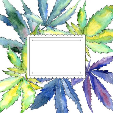 Suluboya esrar yeşil yaprak. Yaprak bitki botanik bahçe çiçek yaprakları. Çerçeve kenarlığı süsleme Meydanı. Aquarelle yaprak için arka plan, doku, sarıcı desen, çerçeve veya kenarlık.