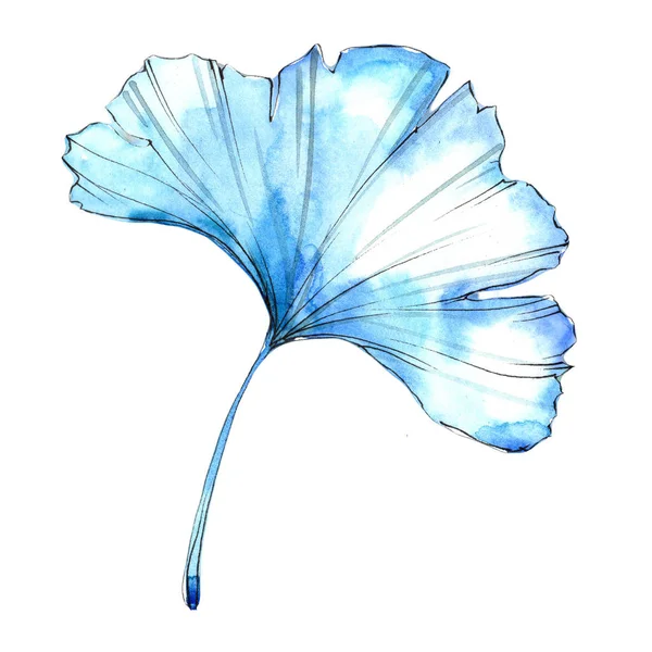 Φύλλα Ακουαρέλας Πολύχρωμο Ginkgo Φύλλο Φυτού Βοτανικός Κήπος Floral Φύλλωμα — Φωτογραφία Αρχείου