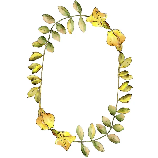Aquarell Gelbes Akazienblatt Blattpflanze Botanischer Garten Florales Laub Rahmen Bordüre — Stockfoto