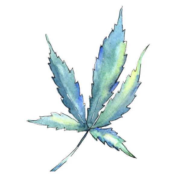 Daun Hijau Cannabis Watercolor Daun Tanaman Botani Taman Dedaunan Bunga — Stok Foto