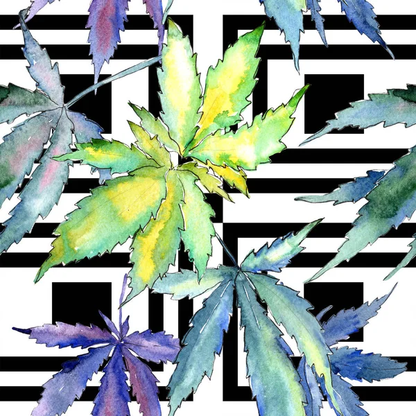 Akvarell Cannabis Gröna Blad Leaf Växt Botaniska Trädgård Blommig Bladverk — Stockfoto