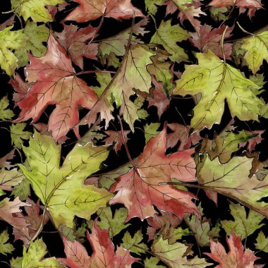 Sulu boya yeşil ve kırmızı akçaağaç yaprakları. Yaprak bitki botanik bahçe çiçek yaprakları. Sorunsuz arka plan deseni. Kumaş duvar kağıdı yazdırma doku. Aquarelle yaprak için arka plan, doku, sarıcı desen.