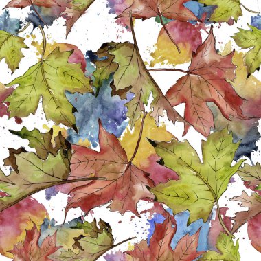 Sulu boya yeşil ve kırmızı akçaağaç yaprakları. Yaprak bitki botanik bahçe çiçek yaprakları. Sorunsuz arka plan deseni. Kumaş duvar kağıdı yazdırma doku. Aquarelle yaprak için arka plan, doku, sarıcı desen.