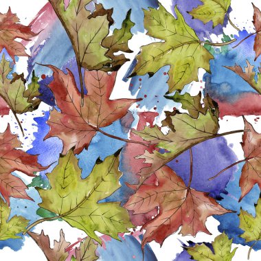 Sulu boya yeşil ve kırmızı akçaağaç yaprakları. Yaprak bitki botanik bahçe çiçek yaprakları. Sorunsuz arka plan deseni. Kumaş duvar kağıdı yazdırma doku. Aquarelle yaprak için arka plan, doku, sarıcı desen.