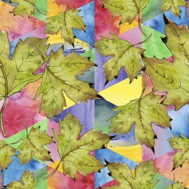Sulu boya yeşil ve kırmızı akçaağaç yaprakları. Yaprak bitki botanik bahçe çiçek yaprakları. Sorunsuz arka plan deseni. Kumaş duvar kağıdı yazdırma doku. Aquarelle yaprak için arka plan, doku, sarıcı desen.