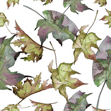 Sulu boya yeşil ve kırmızı akçaağaç yaprakları. Yaprak bitki botanik bahçe çiçek yaprakları. Sorunsuz arka plan deseni. Kumaş duvar kağıdı yazdırma doku. Aquarelle yaprak için arka plan, doku, sarıcı desen.