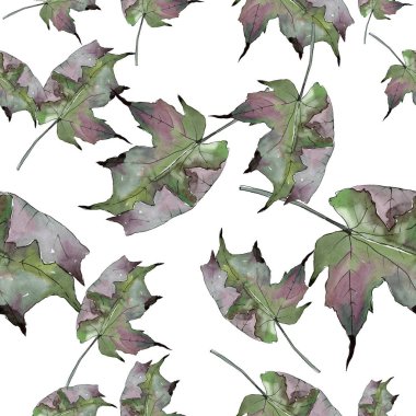 Sulu boya yeşil ve kırmızı akçaağaç yaprakları. Yaprak bitki botanik bahçe çiçek yaprakları. Sorunsuz arka plan deseni. Kumaş duvar kağıdı yazdırma doku. Aquarelle yaprak için arka plan, doku, sarıcı desen.