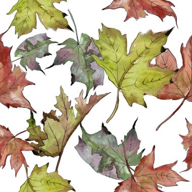 Sulu boya yeşil ve kırmızı akçaağaç yaprakları. Yaprak bitki botanik bahçe çiçek yaprakları. Sorunsuz arka plan deseni. Kumaş duvar kağıdı yazdırma doku. Aquarelle yaprak için arka plan, doku, sarıcı desen.