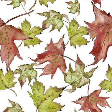Sulu boya yeşil ve kırmızı akçaağaç yaprakları. Yaprak bitki botanik bahçe çiçek yaprakları. Sorunsuz arka plan deseni. Kumaş duvar kağıdı yazdırma doku. Aquarelle yaprak için arka plan, doku, sarıcı desen.