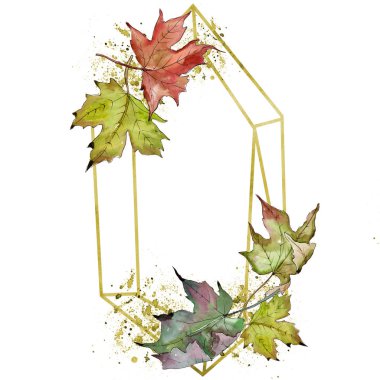 Sulu boya yeşil ve kırmızı akçaağaç yaprakları. Yaprak bitki botanik bahçe çiçek yaprakları. İzole illüstrasyon öğesi. Aquarelle yaprak için arka plan, doku, sarıcı desen, çerçeve veya kenarlık.