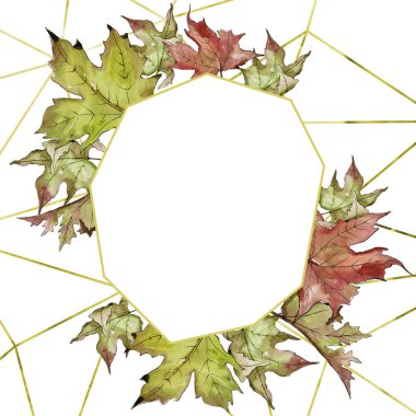 Sulu boya yeşil ve kırmızı akçaağaç yaprakları. Yaprak bitki botanik bahçe çiçek yaprakları. Çerçeve kenarlığı süsleme Meydanı. Aquarelle yaprak için arka plan, doku, sarıcı desen, çerçeve veya kenarlık.