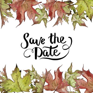 Sulu boya yeşil ve kırmızı akçaağaç yaprakları. Yaprak bitki botanik bahçe çiçek yaprakları. Çerçeve kenarlığı süsleme Meydanı. Aquarelle yaprak için arka plan, doku, sarıcı desen, çerçeve veya kenarlık.