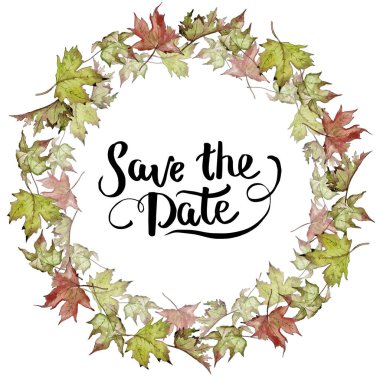 Sulu boya yeşil ve kırmızı akçaağaç yaprakları. Yaprak bitki botanik bahçe çiçek yaprakları. Çerçeve kenarlığı süsleme Meydanı. Aquarelle yaprak için arka plan, doku, sarıcı desen, çerçeve veya kenarlık.