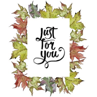 Sulu boya yeşil ve kırmızı akçaağaç yaprakları. Yaprak bitki botanik bahçe çiçek yaprakları. Çerçeve kenarlığı süsleme Meydanı. Aquarelle yaprak için arka plan, doku, sarıcı desen, çerçeve veya kenarlık.