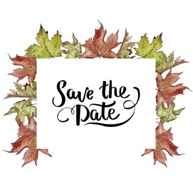 Sulu boya yeşil ve kırmızı akçaağaç yaprakları. Yaprak bitki botanik bahçe çiçek yaprakları. Çerçeve kenarlığı süsleme Meydanı. Aquarelle yaprak için arka plan, doku, sarıcı desen, çerçeve veya kenarlık.