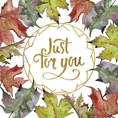 Sulu boya yeşil ve kırmızı akçaağaç yaprakları. Yaprak bitki botanik bahçe çiçek yaprakları. Çerçeve kenarlığı süsleme Meydanı. Aquarelle yaprak için arka plan, doku, sarıcı desen, çerçeve veya kenarlık.