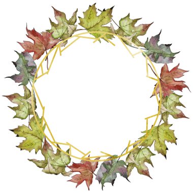 Sulu boya yeşil ve kırmızı akçaağaç yaprakları. Yaprak bitki botanik bahçe çiçek yaprakları. Çerçeve kenarlığı süsleme Meydanı. Aquarelle yaprak için arka plan, doku, sarıcı desen, çerçeve veya kenarlık.