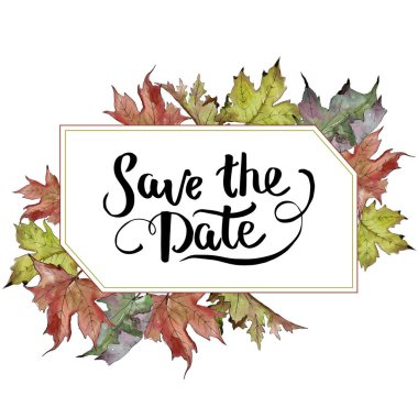 Sulu boya yeşil ve kırmızı akçaağaç yaprakları. Yaprak bitki botanik bahçe çiçek yaprakları. Çerçeve kenarlığı süsleme Meydanı. Aquarelle yaprak için arka plan, doku, sarıcı desen, çerçeve veya kenarlık.